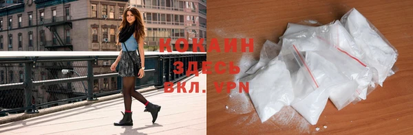 прущие грибы Арсеньев