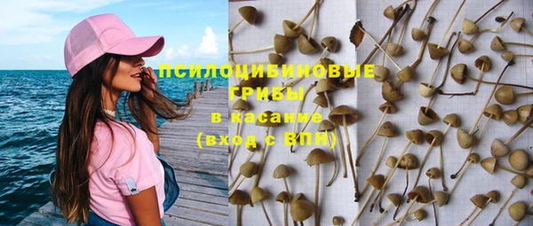 спайс Приозерск