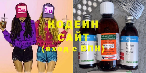 прущие грибы Арсеньев