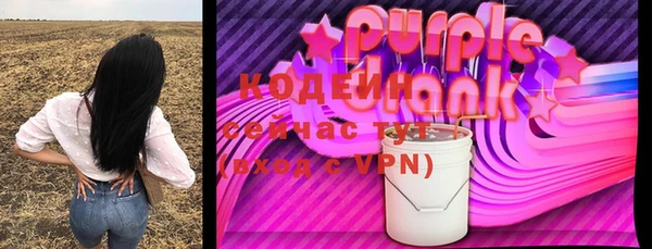 прущие грибы Арсеньев