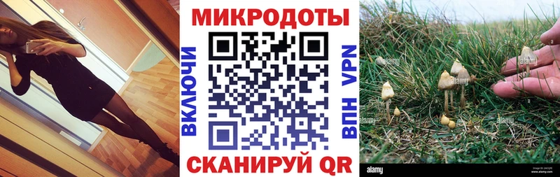 Галлюциногенные грибы мицелий  где купить наркоту  OMG онион  Салехард 